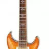 Ibanez ARX500 AMB