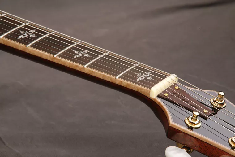 Ibanez ARX500 AMB