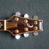 Ibanez ARX500 AMB