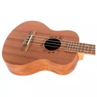 Flight NUT310 Tenor