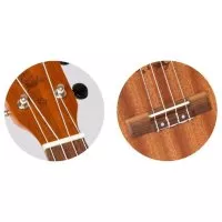 Flight NUT310 Tenor