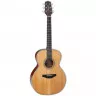 Takamine GN20 NS