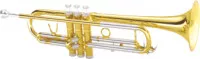 Maxtone TT168L