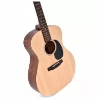 Ditson G-10