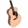 Ditson G-10 Ditson G-10