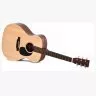 Ditson G-10 Ditson G-10