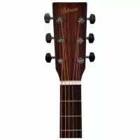 Ditson G-10