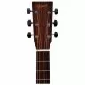 Ditson G-10 Ditson G-10