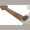 Schecter NICK JOHNSTON TRAD H/S/S ASNW