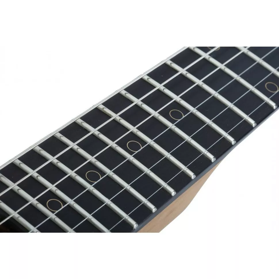 Schecter NICK JOHNSTON TRAD H/S/S ASNW