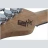 Schecter NICK JOHNSTON TRAD H/S/S ASNW