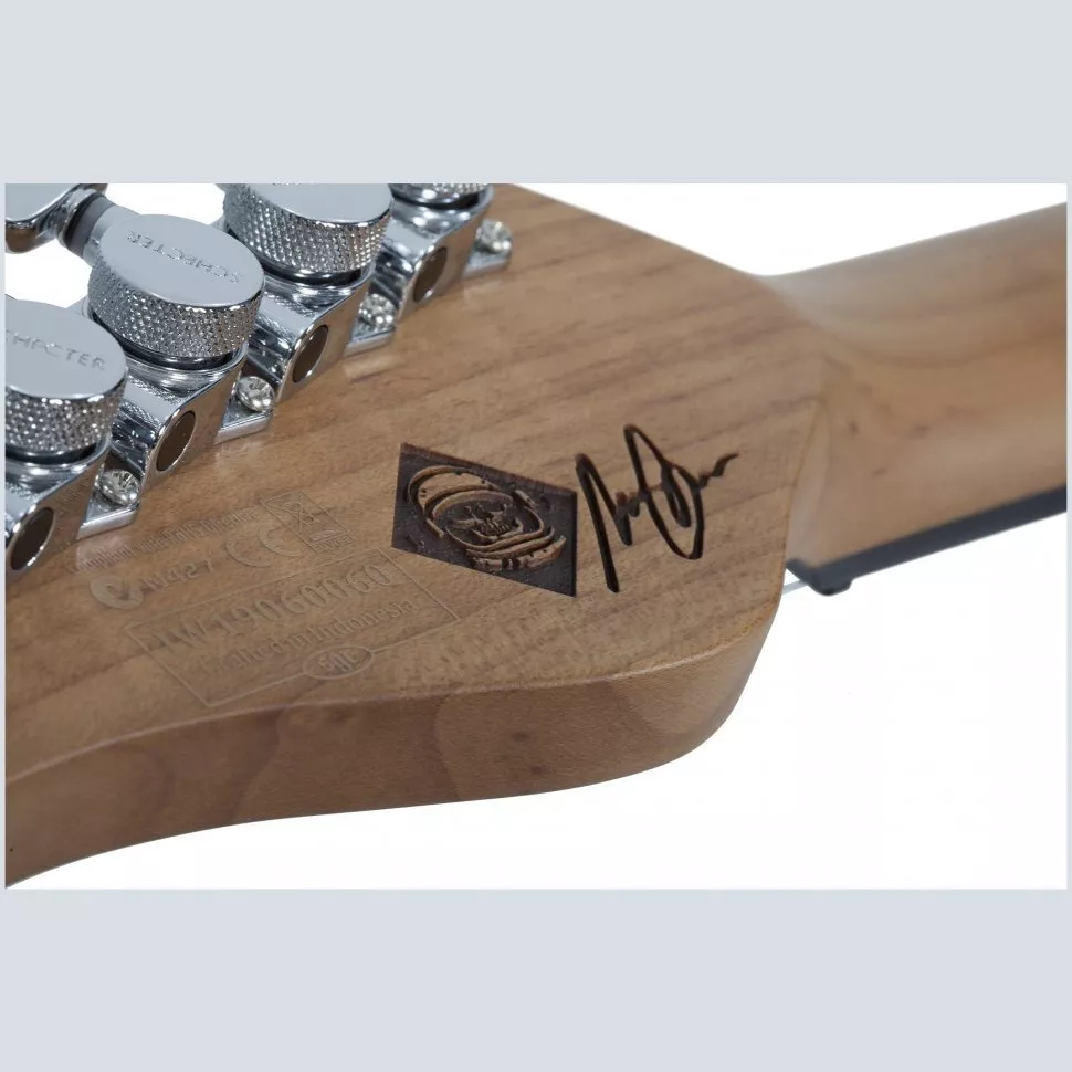 Schecter NICK JOHNSTON TRAD H/S/S ASNW
