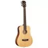 Cort Earth Mini E Adirondack (Open Pore) w/bag