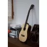 Cort Earth Mini E Adirondack (Open Pore) w/bag