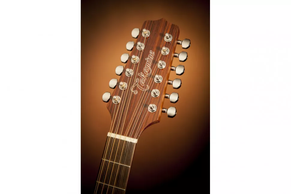 Takamine GD30-12 NAT