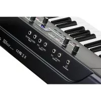 Kurzweil SP1