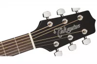 Takamine GD30 BLK