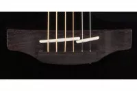 Takamine GD30 BLK