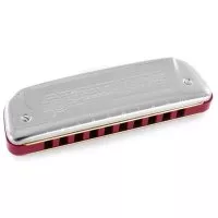 Hohner Golden Melody D-major M542036X