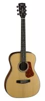 Cort L100C NS
