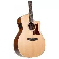 Cort GA1E (Open Pore)