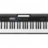 Casio CT-S300