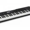 Casio CT-S300