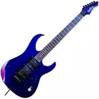 Washburn WG 580