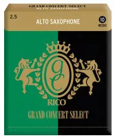 Rico RGC10ASX300