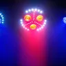Chauvet FXPAR3