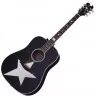 Schecter RS-1000 STAGE ACOUSTIC