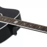 Schecter RS-1000 STAGE ACOUSTIC