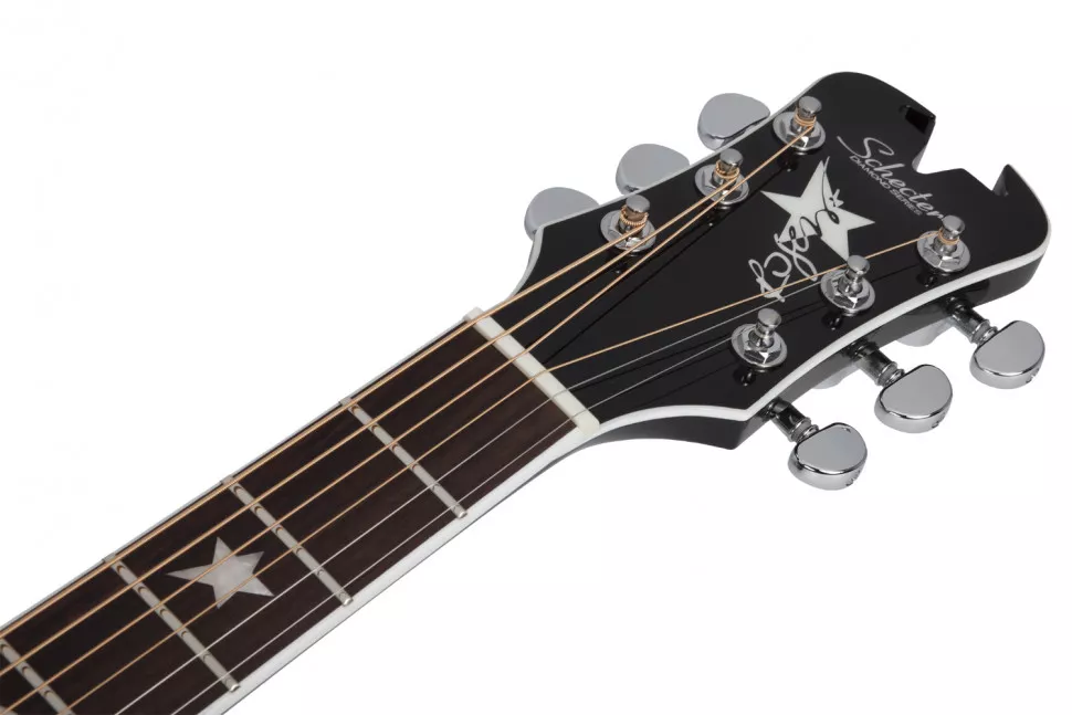 Schecter RS-1000 STAGE ACOUSTIC