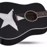 Schecter RS-1000 STAGE ACOUSTIC