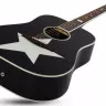 Schecter RS-1000 STAGE ACOUSTIC