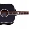 Schecter RS-1000 STAGE ACOUSTIC