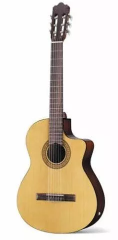 Walden N350CE/G Walden N350CE/G