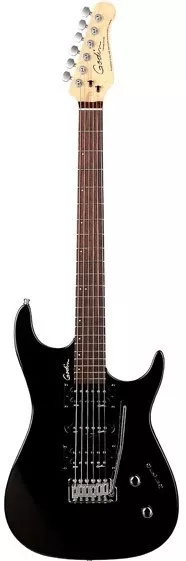 Godin FREEWAY CLASSIC Black Pearl RN with Bag Godin FREEWAY CLASSIC Black Pearl RN with Bag