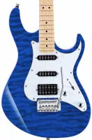 Cort G250DX TB