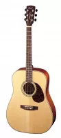 Cort Earth100 Nat