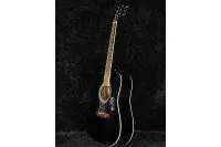  Epiphone DR-100 EB
