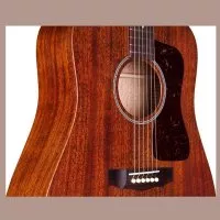 Guild D-20 (Natural)