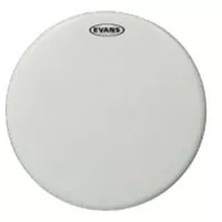 Evans BD20G1CW