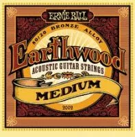 Ernie Ball P02002 Medium