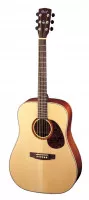 Cort Earth100 NS
