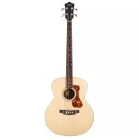 Guild B-240E NAT