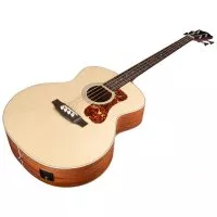 Guild B-240E NAT