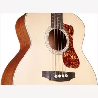 Guild B-240E NAT