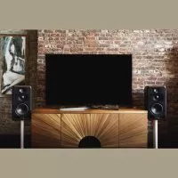 Adam S3V