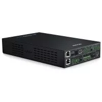 Blustream NPA100DA